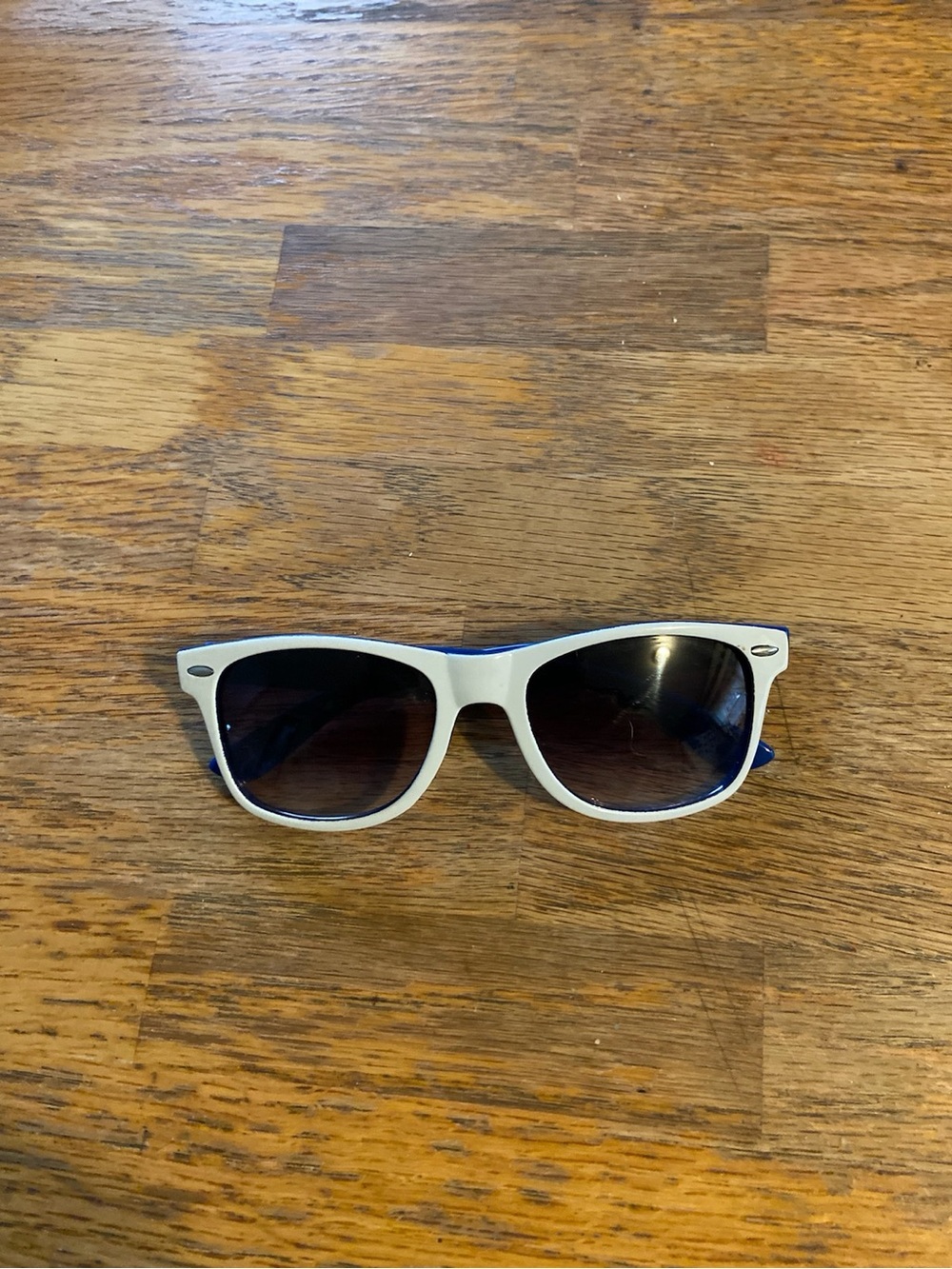 Blue and white two tone colored celona sunglasses